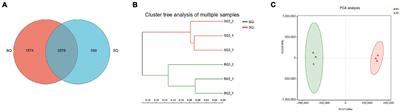 Metagenomic analysis of core differential microbes between traditional starter and Round-Koji-mechanical starter of Chi-flavor Baijiu